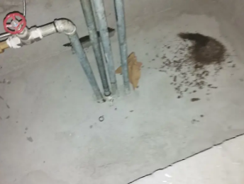 耿马卫生间测漏水价格明细