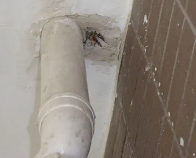 耿马漏水检测哪家好